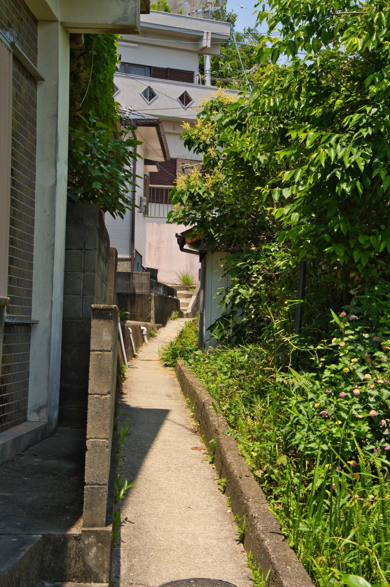 住宅街での伐採事例