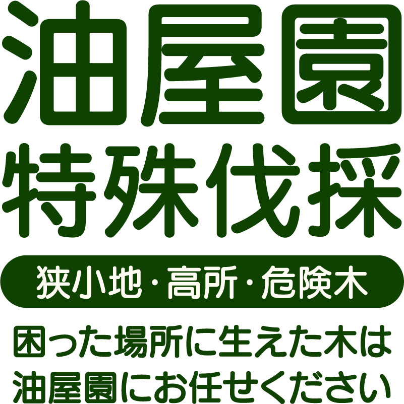 油屋園 特殊伐採