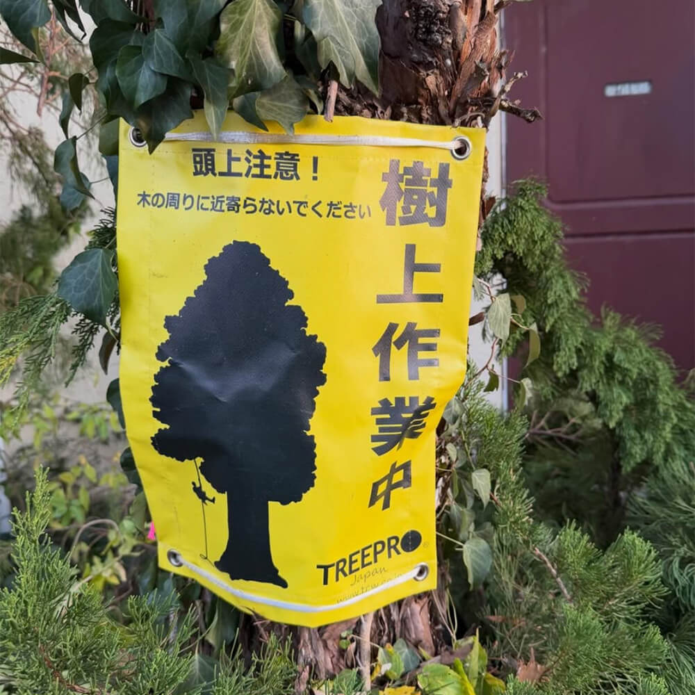安全作業区域の確保の様子